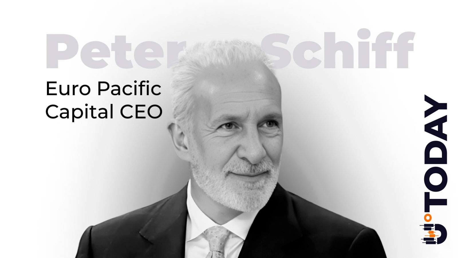 Peter Schiff Admits MSTR Rising as Strategy Records $20 Billion BTC Gain - U.Today | Related Crypto Article