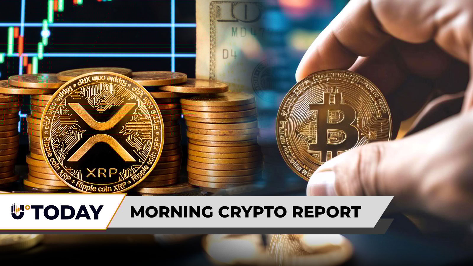 Morning Crypto Report: $130 Million DeFi Hack Hits Balancer; Bollinger Bands Say Forget $3 XRP; Bitcoin Going Through IPO, Says Wall St. Veteran - U.Today | Related Crypto Article